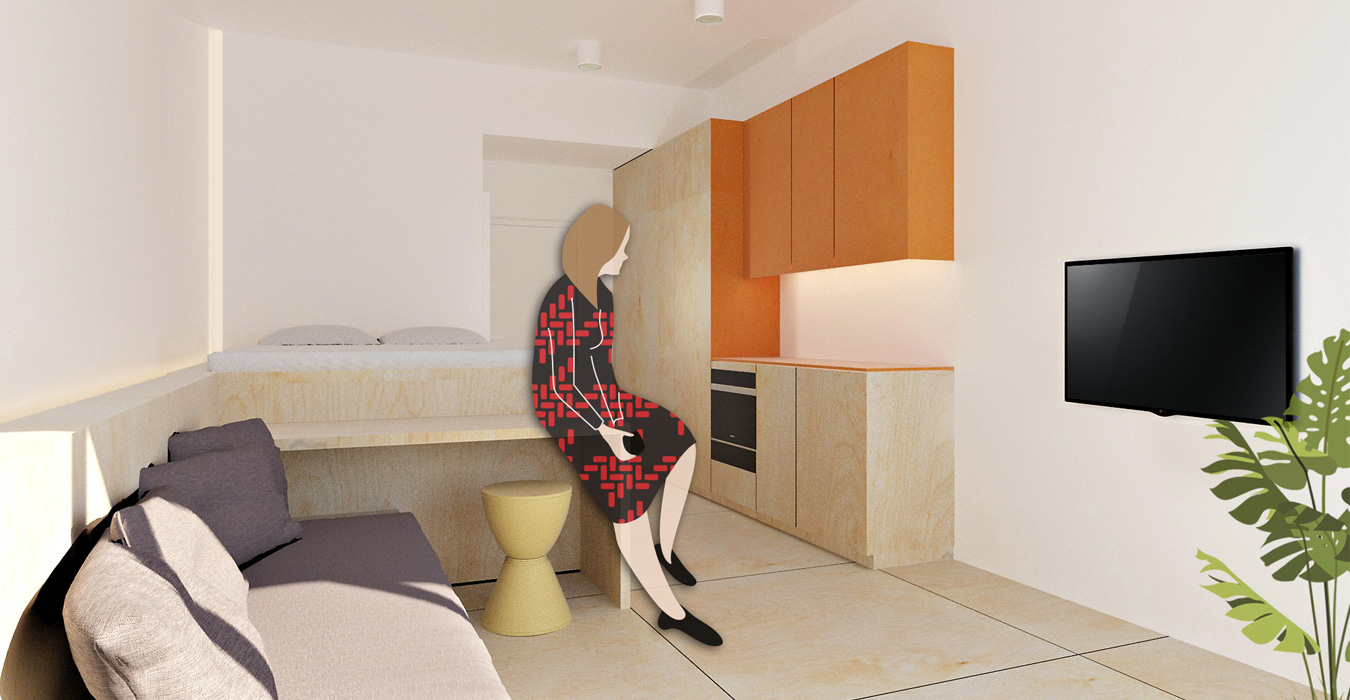 The plywood construction encompasses the sofa, the king size bed, the wardrobes and the desk